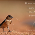 DFV 0201 (2).Bonne Année 2025 (2)